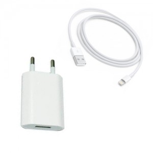 Lightning Cable & Wall Adapter Λευκό (14075)